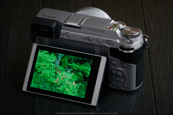 お写ん歩: Panasonic LUMIX G VARIO 35-100mm F4.0-5.6 ASPH